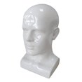 thumbnail image 4 of PVC Mannequin Male Head Model Height 34cm Styling Accessory for Hair Glasses Head Circumference 56cm Durable Lightweight White, 4 of 8