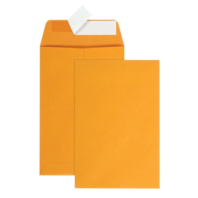 6x9 Catalog Peel & Seal Envelope in brown kraft paper with an open flap showing a white peel-and-seal strip and a matching brown kraft insert, designed for secure, durable office mailings and document protection.