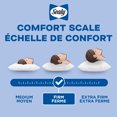 thumbnail image 5 of Sealy Firm Support Bed Pillow, King- Cotton Cover, Back Sleeper 2 Count, 5 of 5