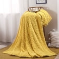 thumbnail image 1 of Meitianfacai 70*100cm Super Soft Warm Solid Warm Micro Plush Fleece Blanket Throw Rug Sofa Bedding, 1 of 4