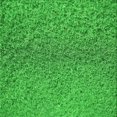 thumbnail image 1 of Ahgly Company Tapis d'Intérieur Lavables à la Machine, Carrés, Transitionnels, Verts, Tapis de Zone, 5 Pieds Carré, 1 of 7