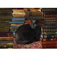 thumbnail image 2 of Cobble Hill - Chat Bibliothèque (Casse-Tête de 1000 Pcs), 2 of 2