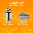 thumbnail image 4 of LYSOL DISINFECTANT SPRAY - Brand New Day Mango & Hibiscus 350g, 4 of 8