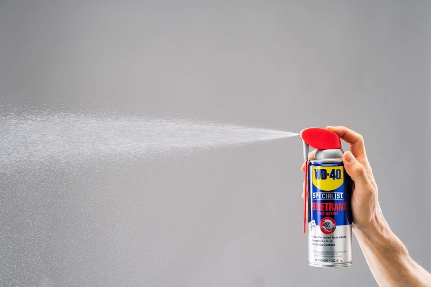 Vaporisateur pénétrant WD-40 antirouille Specialist avec practico-tube permanente 311 gr