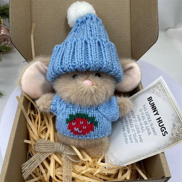 HOARBOEG Mini Mignon Cadeau de Pâques avec Chapeau Tricoté et Boule de Velours Poche Douce Soutien Émotionnel avec Boîte Cadeau et Carte