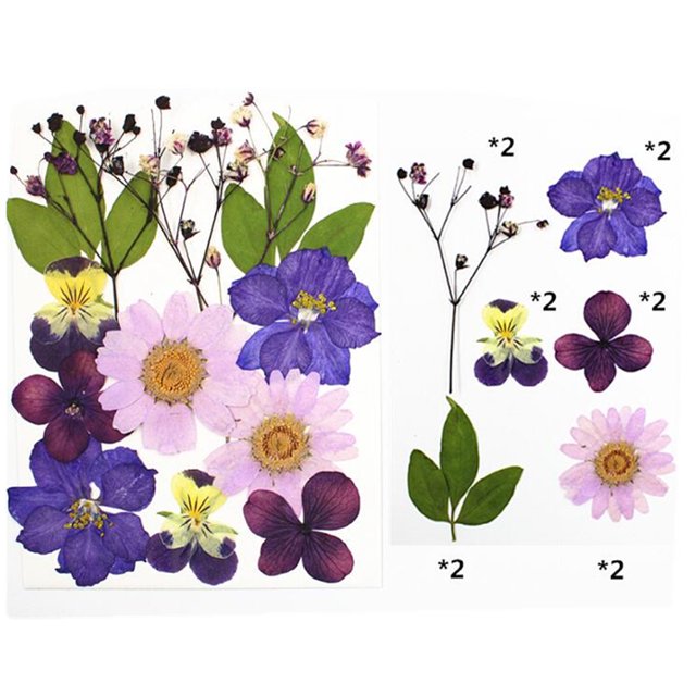 Natural Real Dried Flower Plants For Candle Epoxy Resin Jewelry Making Craft DIY
