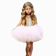 thumbnail image 4 of NIEWTR Robe Pailletée de Princesse pour Tout-Petit, Robe Tutu de Bébé Fille pour Concours, Mariage, Fête d'Anniversaire (Rose, 5-6 Ans), 4 of 7