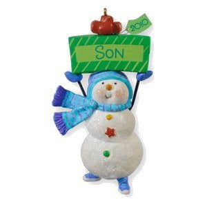Un Fils Amusant 2010 Hallmark Ornement Souvenir Personnaliser