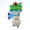thumbnail image 1 of One Fun Son 2010 Hallmark Keepsake Ornament Personalize, 1 of 2