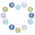 thumbnail image 3 of 1 Set Boys and Girls' Milestone Stickers Monthly Keepsake Photo Props for Baby, 3 of 5