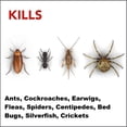 thumbnail image 3 of Raid Ant, Roach, and Earwig Insect Killer, for Indoor and Outdoor Use, 350g, 3 of 8