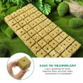 thumbnail image 4 of ELAYARD 100pcs Gardening Supplies Starter Hydroponics Substrate for Beginners, 4 of 7