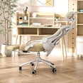 thumbnail image 2 of Ergonomic Office Chair with Footrest - Adjustable Lumbar Support & Headrest  Reclining Mesh Back Computer Chair - Home Office/Gaming  Capacity, 2 of 4