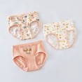 thumbnail image 3 of Girls 3Pc Toddler Kids Cartoon Rainbow Shorts Underwear Clothes, 3 of 3