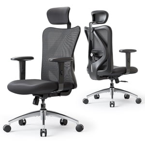 SIHOO M18 Office Chair, Mesh Computer Ergonomic Chair with Adjustable Lumbar Support, High Back Chair for Big and Tall, Black