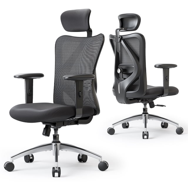SIHOO M18 Office Chair, Mesh Computer Ergonomic Chair with Adjustable Lumbar Support, High Back Chair for Big and Tall, Black