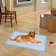 thumbnail image 3 of Costway 150 Pcs 36 Pouces x 24 Pouces Tapis pour Chiot Animal de Compagnie Chien Chat Pipi Tapis d'Entraînement sous-Tapis, 3 of 8