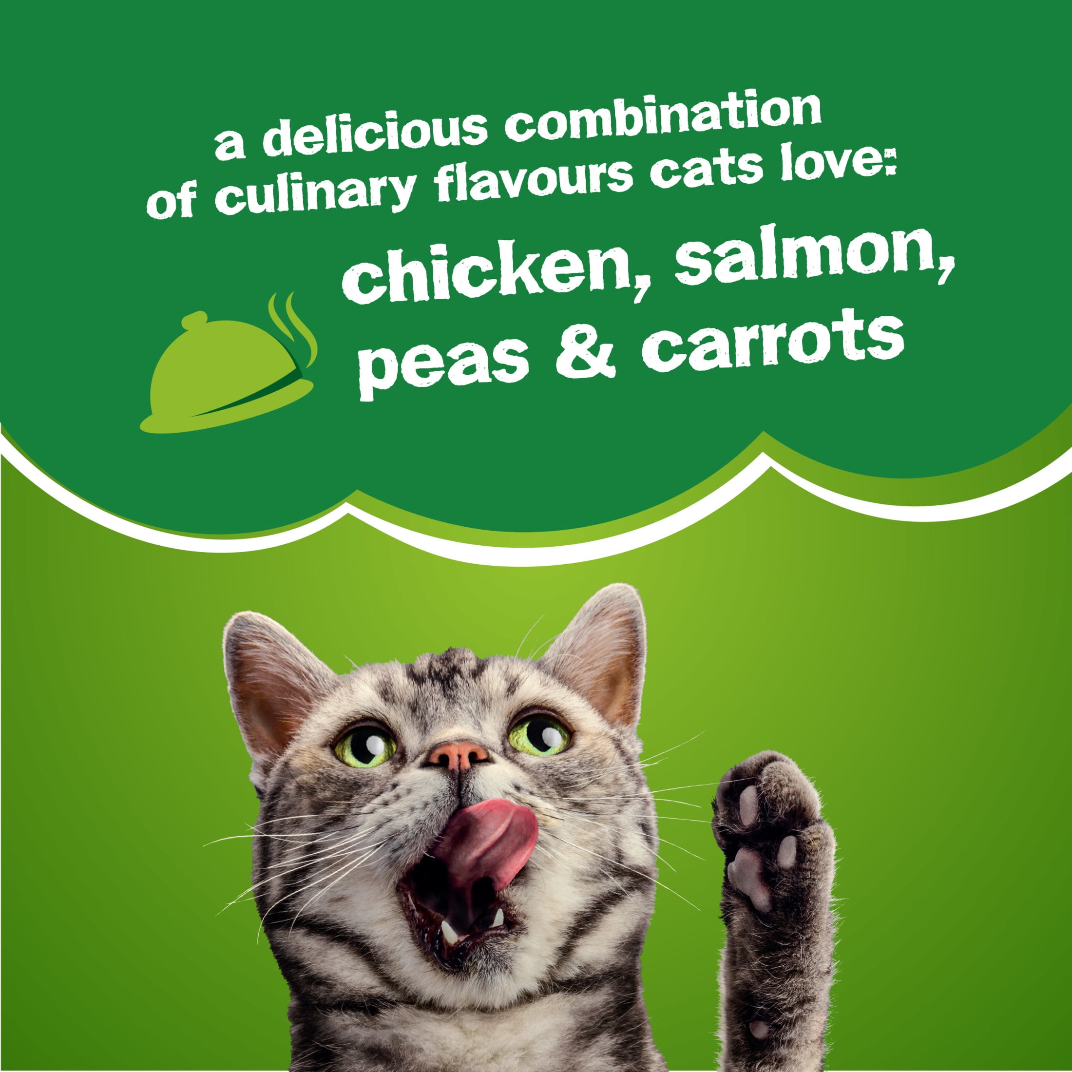 Purina Friskies Sizzlin' Sup-purr Saveurs de poulet, saumon, petits pois et carottes, Nourriture Sèche pour Chats, 7.26 kg