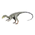 thumbnail image 1 of Compsognathus Dinosaure, Affiche Imprimée Fond Blanc (32 x 24), 1 of 1