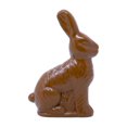 thumbnail image 3 of Plastic Figural Chocolate Bunny Treat Container, 3 of 5