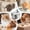 B, variante sur Liquidation! Fontaine d'Eau Intelligente pour Animaux, Fontaine d'Eau pour Chat Fontaine pour Chat pour Boire - Fontaine d'Eau pour Animaux pour Chats à l'Intérieur - Bol Distributeur d'Eau Automatique pour Chat - Fournitures d'Alimentation et d'Arrosage pour Chat