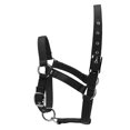 thumbnail image 4 of Amdohai Collier de Tête de Cheval Épaissi 6MM Réglable Sécurité Licou Bride, 4 of 7