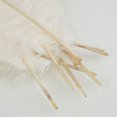 thumbnail image 2 of Ktaxon 100PCS Nature Ostrich Feathers Home Party Decor Color White, 2 of 5