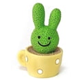 thumbnail image 3 of fastboy Car Interior Ornament Dashboard Decoration Cute Resin Shelf Decor Cactus S, 3 of 8
