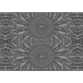 thumbnail image 1 of Ahgly Company Tapis d'Intérieur Rectangulaire Transitionnel Noir Lavable à la Machine, 4 Pieds x 6 Pieds, 1 of 7