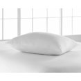 thumbnail image 1 of Mainstays allergy pro Pillow, 1 of 2