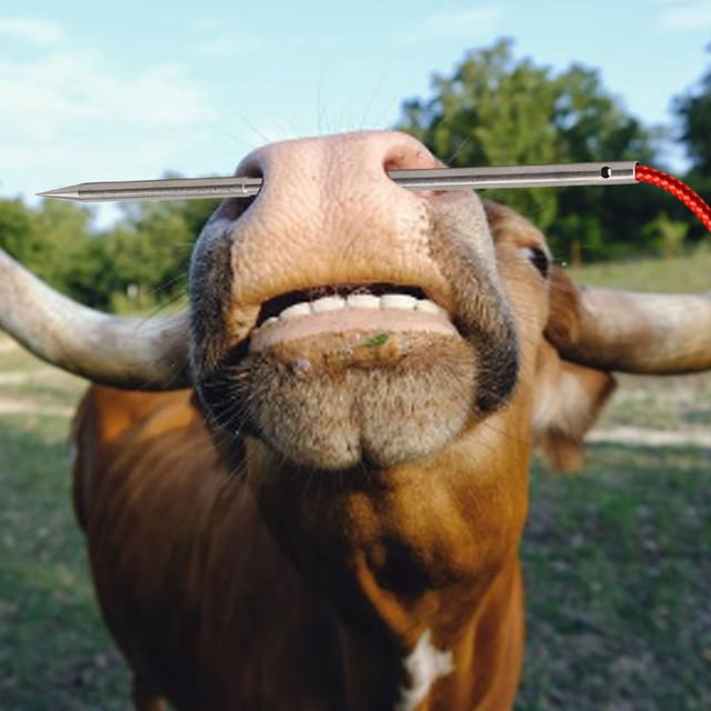 Cow Nose Piercing Needle, Steel Cattle Nose Piercing Needle with Hole for Farm