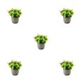 thumbnail image 1 of Redempat Plastic Easy To Clean Artificial Succulent Realistic Appearance Long-lasting Durability Eco-friendly newyellowbabysbreath 5Set, 1 of 6
