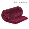 thumbnail image 4 of Unique Bargains Luxury Fleece Bed Blanket Woven Mesh, 4 of 10