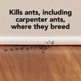 thumbnail image 2 of Raid Max Liquid Ant Killer Baits and Trap, Child Resistant, 8 Count, 2 of 9