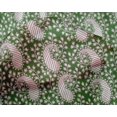 thumbnail image 5 of oneOone Silk Tabby Green Fabric Block Craft Projects Decor Fabric Printed By The Yard 42 Inch Wide-8M, 5 of 5