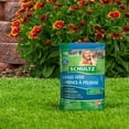 thumbnail image 2 of Schultz® Grass Seed, 1 kg, 2 of 4