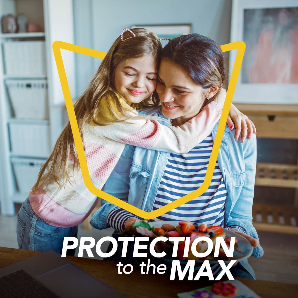 Insecticide Raid Max contre les insectes volants, 500 g