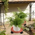 thumbnail image 4 of QTOCIO Mobile Tray With Plastic Belt Roller Circular Chassis Potted Plants Water Receiving Movable Pot Holders, 4 of 4