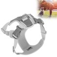 thumbnail image 4 of Dog Harness,No Pull Pet Harness With 2 Leash Clips, Adjustable Breathable Pet Harness With Reflective Trim Step In,Reflective Outdoor Pet Oxford Vest,for Cat Dog Outdoor Walking, 4 of 8