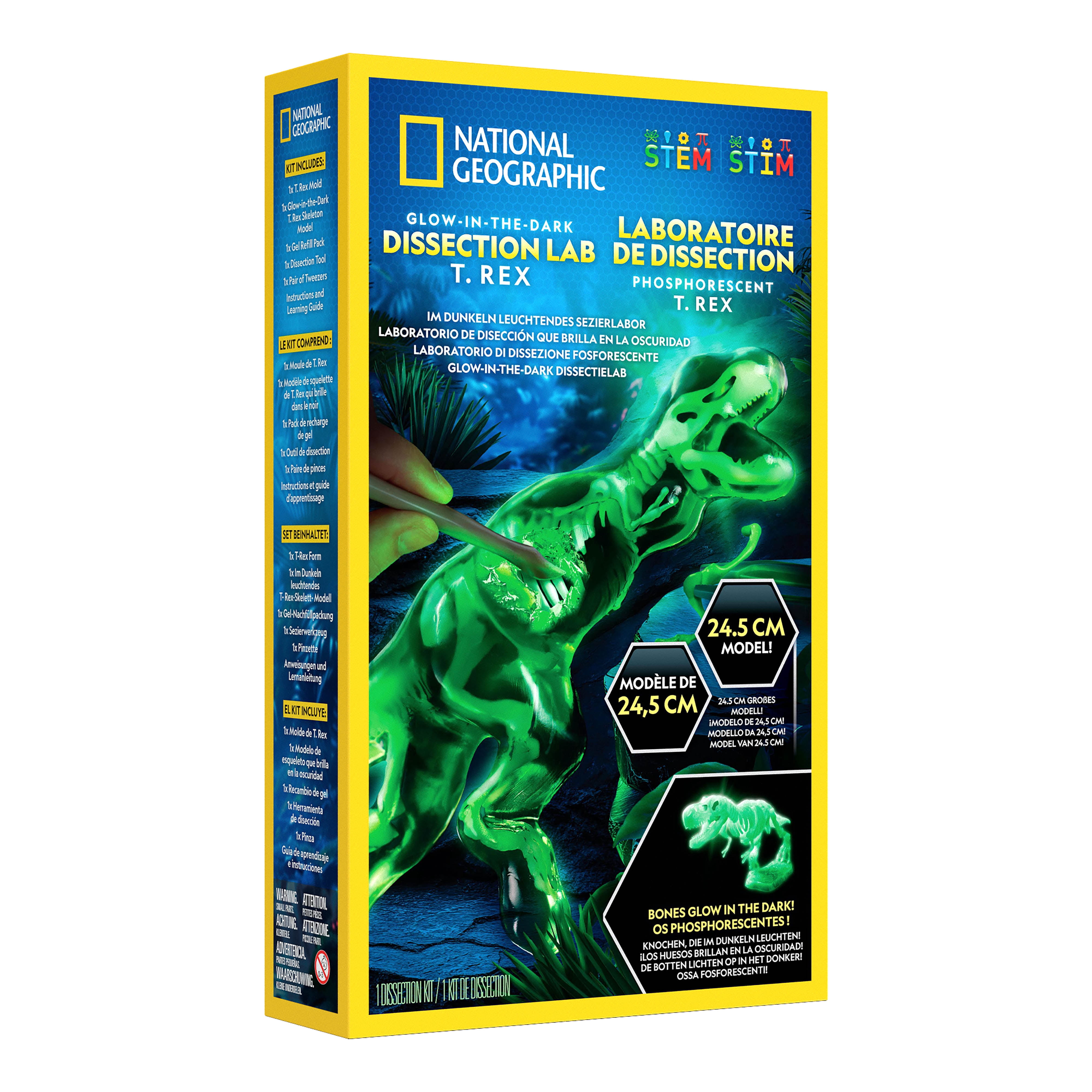National Geographic Laboratoire de dissection phosphorescent – T-Rex (avec recharge) 6 ans et plus