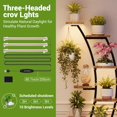thumbnail image 3 of 9-Tier Tall Metal Plant Stand with Built-in Grow Lights for Living Room - Half Moon Multi-Level Indoor Shelf Display - Modern Multi-Tier Rack for Multiple Plants - 2 Pack, Black, 3 of 6