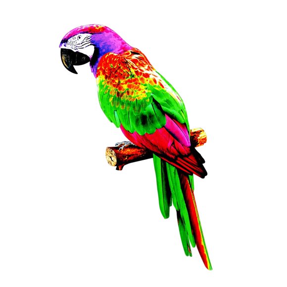 fastboy Perroquets Artificiels Figurines Statue Animal pour Mariage style B Ornement Extérieur style B