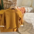 thumbnail image 2 of Chemises Garçons Automne Hiver Col Trutle à Manches Longues Pull Basique Jaune 4-5 Ans, 2 of 6
