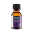 thumbnail image 1 of Thursday Plantation 100% Pure Lavender Oil, 1 of 3