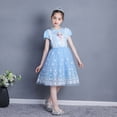 thumbnail image 3 of HAWEE Grisl Elsa Princess Dress Queen Costume Cosplay Dress Up with Accessories(Not Include Cape), 3 of 6