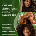 thumbnail image 3 of Herbal Essences Repair + Strength Argan Oil Conditioner, Paraben-Free, 600 ml, 3 of 8