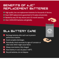thumbnail image 3 of Can-Am BRP Outlander 400 XT ATV Replacement Battery (2004-2013) - This is an AJC Brand Replacement, 3 of 4