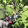 thumbnail image 5 of Pruning Shears, Garden Shears, Garden Scissors, Gardening Shears, Bypass Pruners, 5 of 5