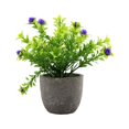 thumbnail image 1 of Decodeary Green Eco-friendly Artificial Money Tree In Pot Long-lasting Durability Realistic Appearance purple babysbreath 1Set, 1 of 6