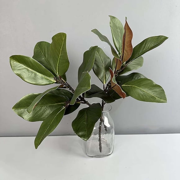 Branches de Feuilles Artificielles de Magnolia de 22 Pieds', 1 Pcs Fausses Branches de Magnolia Feuilles de Magnolia Pics de Feuilles de Magnolia Feuilles de Magnolia Réalistes Brindilles Verdure Magnolia pour Maison Table Vase Intérieur Extérieur